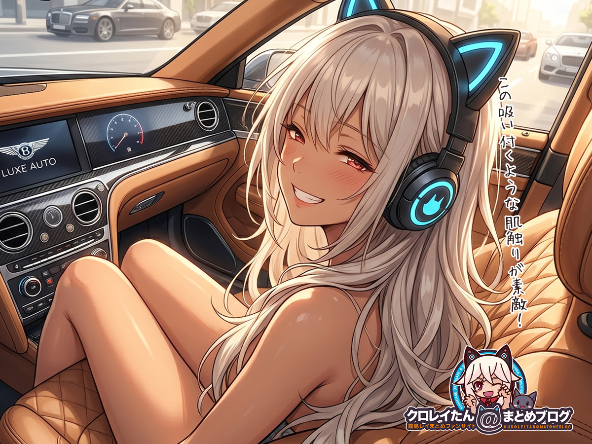 高級レザーシートの質感を堪能するクロガネのイメージ画像|クロレイたん@まとめブログ