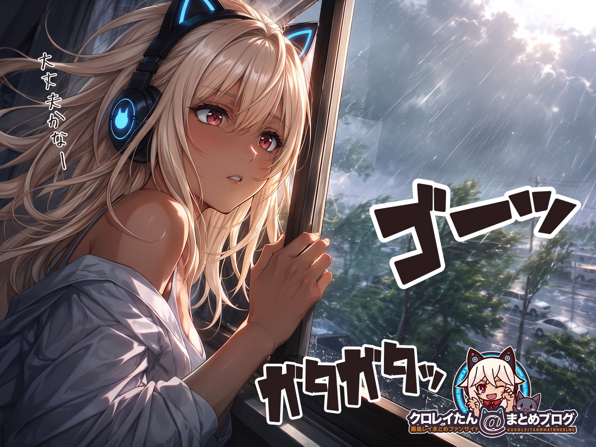 家の中から暴風雨の状況をみていて、駐車している車が心配になっているクロガネちゃん